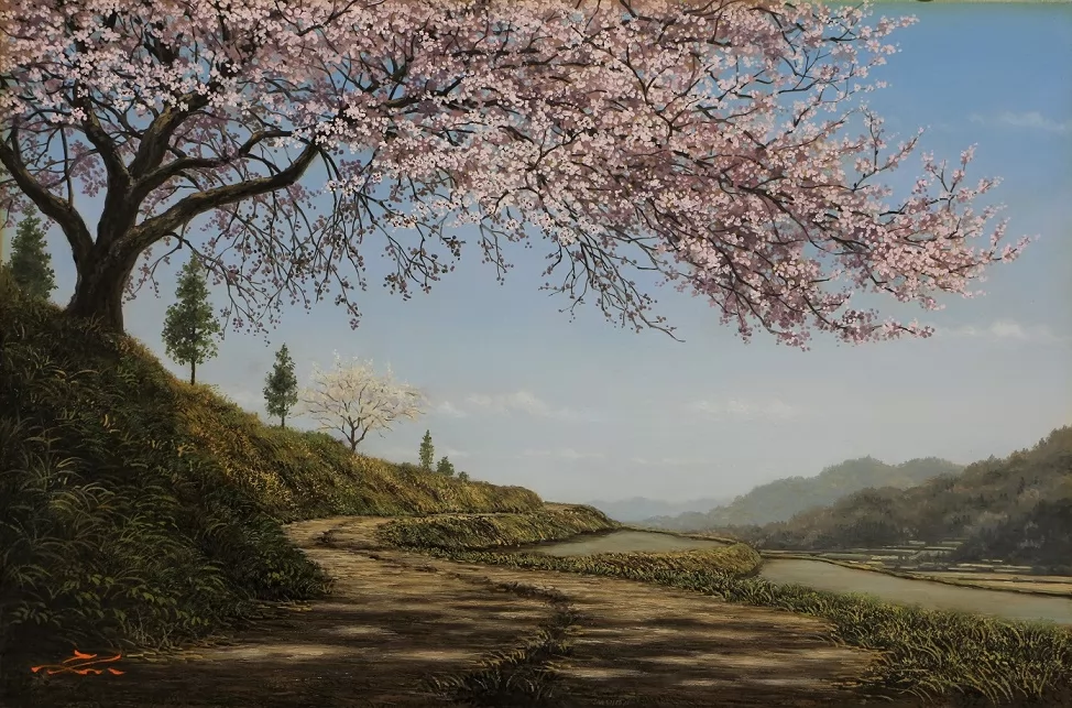 棚田春景
