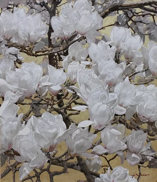 待春（白木蓮）
