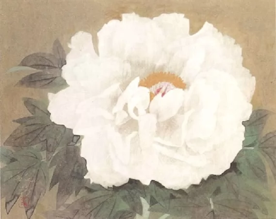 冨貴花