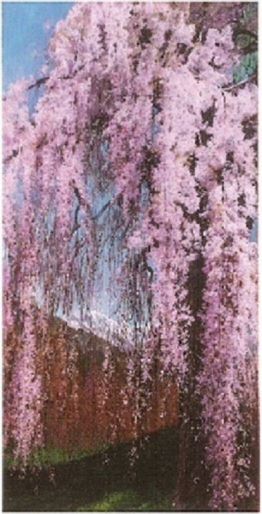 信濃の春